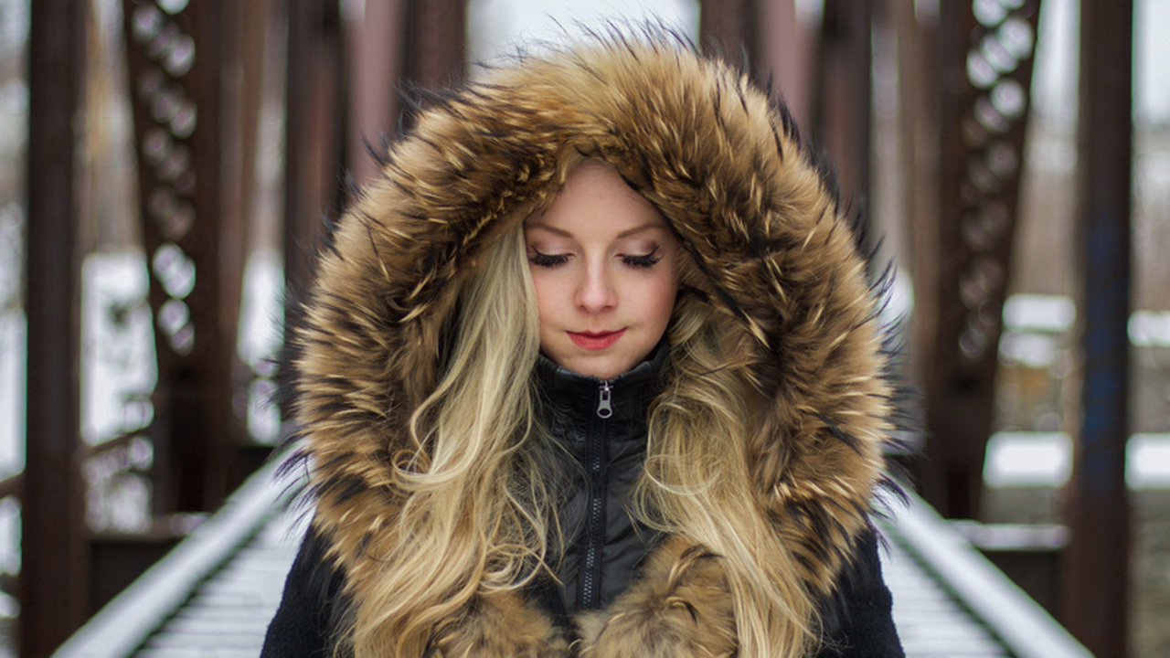 Зимний гардероб претерпевает изменения: зоозащи...