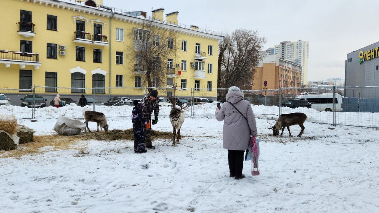 "Погода будет аномальной": синоптики раскрыли п...