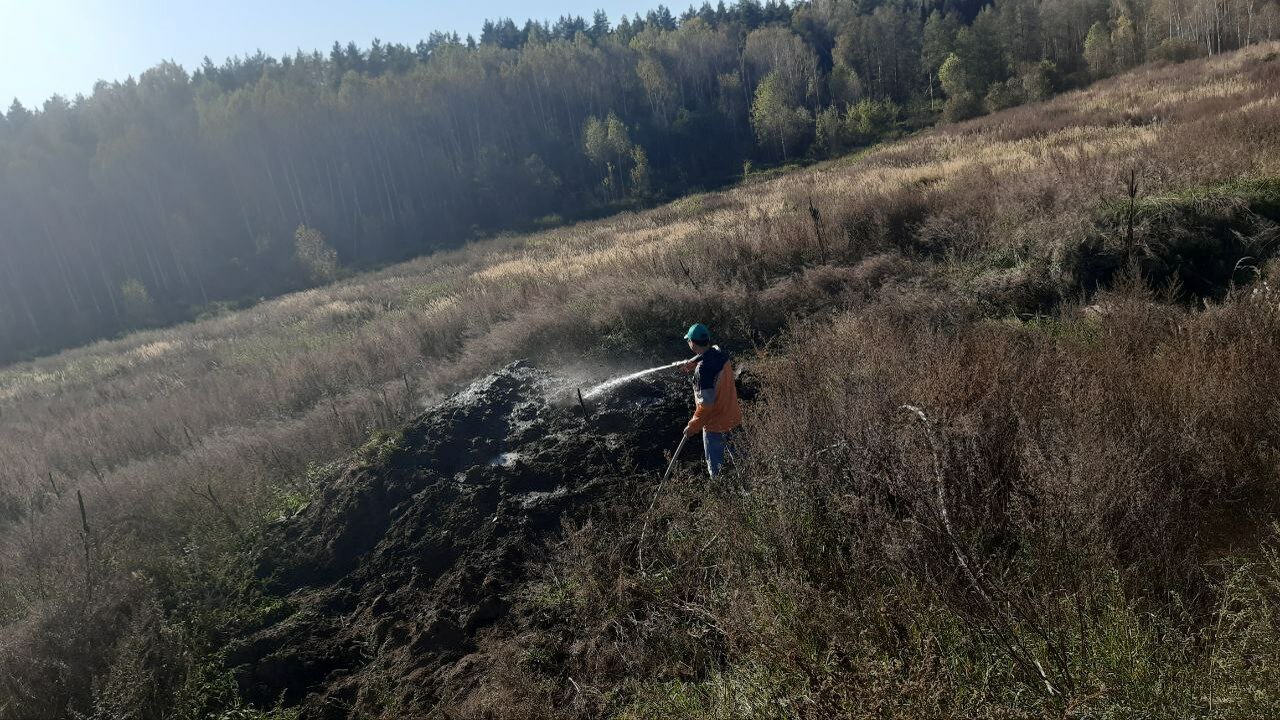 Вчера днем в Шумерлинском лесничестве произошел...