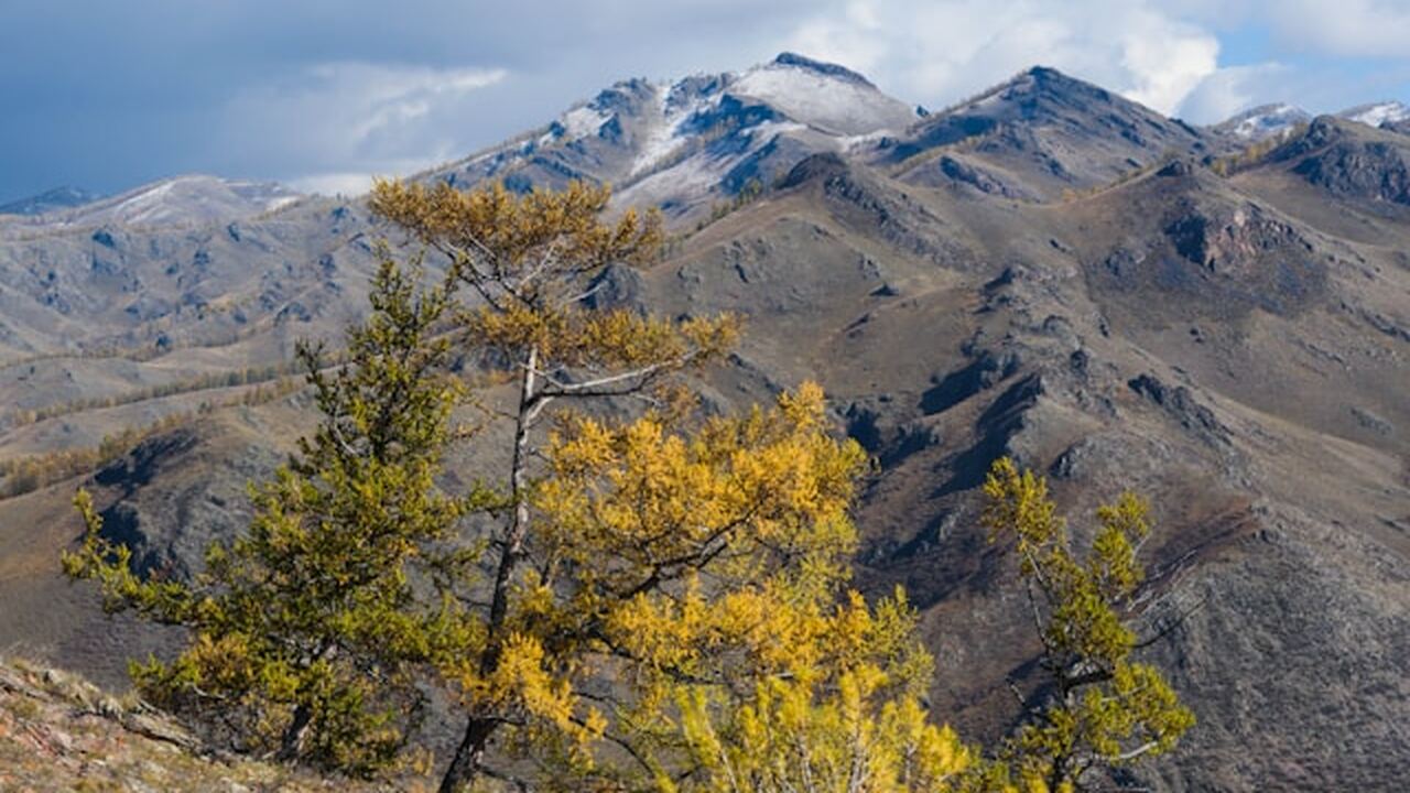 Владимир занимает особое место в истории Древне...