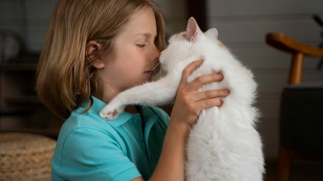 С наступлением весны вступают в силу обновленны...