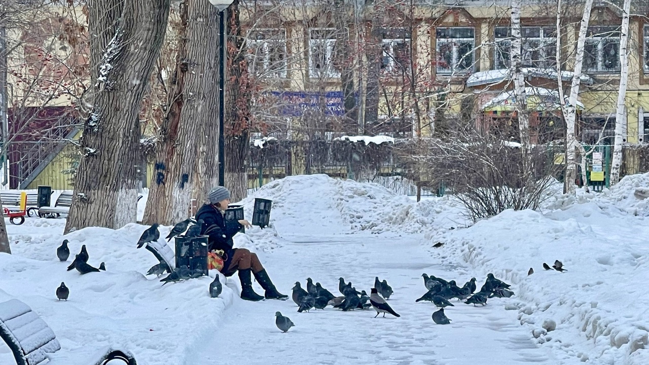 Научный руководитель Гидрометцентра России Рома...