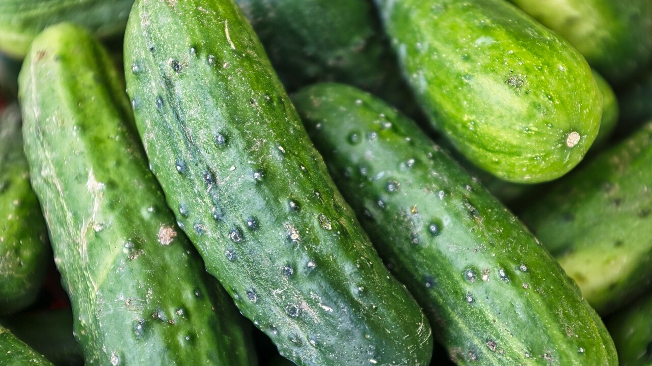 Три огуречных чемпиона: вкус, урожай и минимум хлопот Мечтаете о собственных, сочных и хрустящих огур...