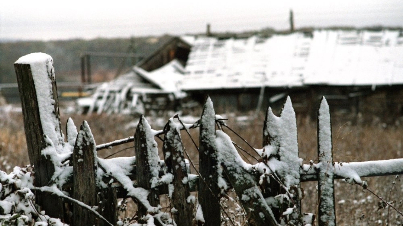 Золотой осени не будет, нас ждет леденящий коне...