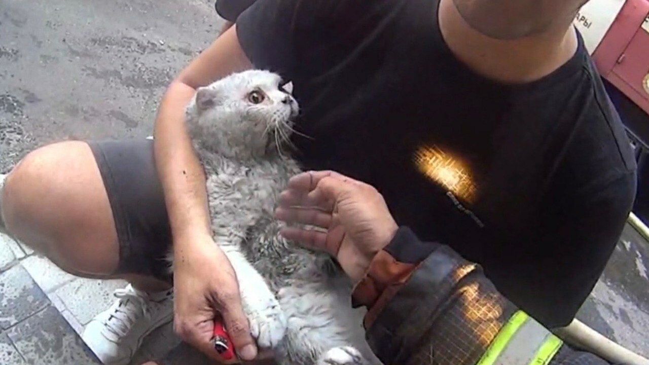 Спасателя из Чебоксар номинировали на всероссийскую премию Спасателя из Чебоксар Александра Скворцова номи...