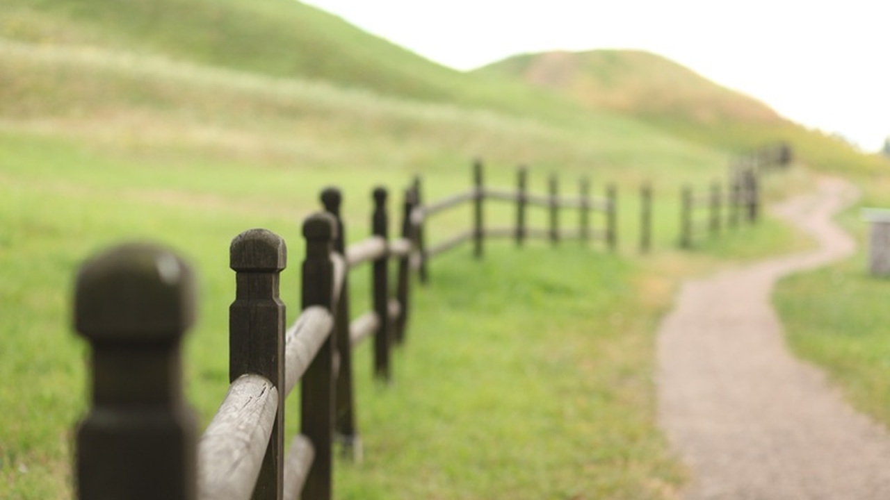 Представьте себе улицу, где вместо привычных на...