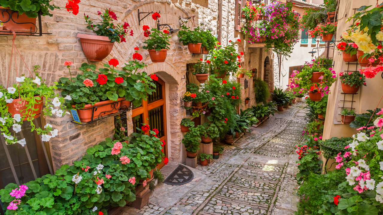 Многие цветоводы сталкиваются с тем, что зимой ...