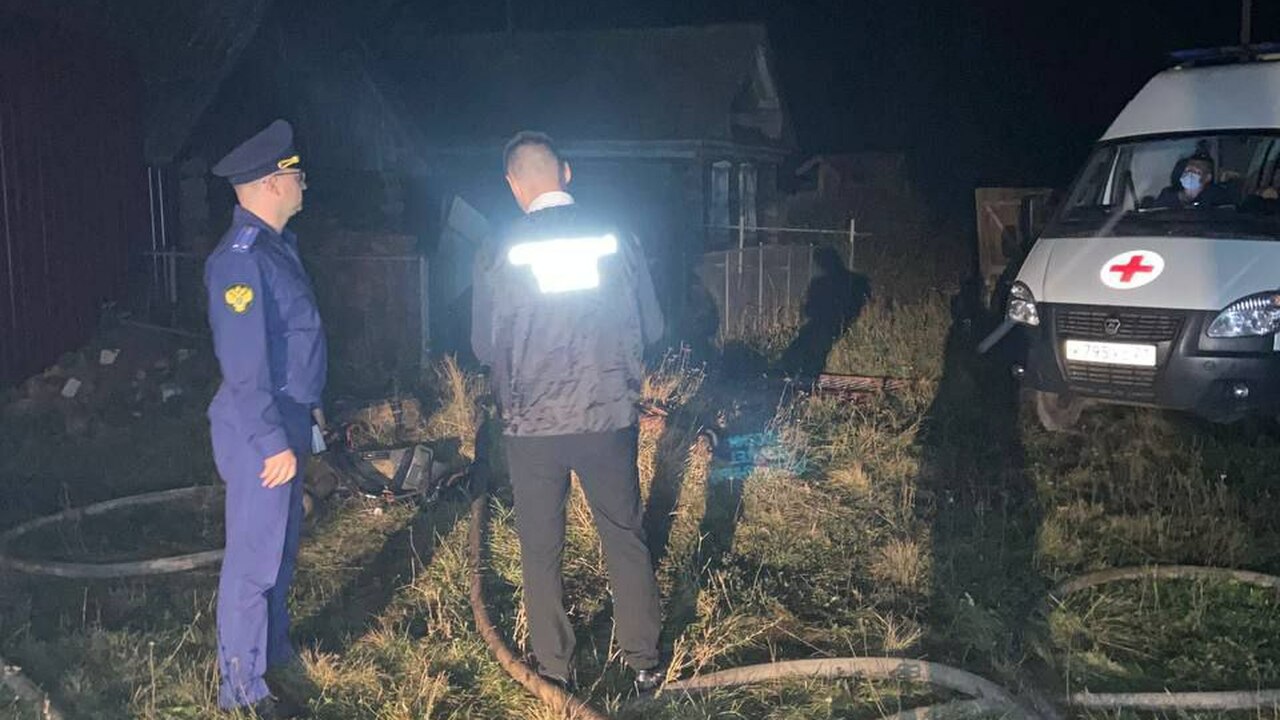 Мать с сыном погибли при пожаре в частном доме в Чувашии В Канашском округе при пожаре погибли два челов...