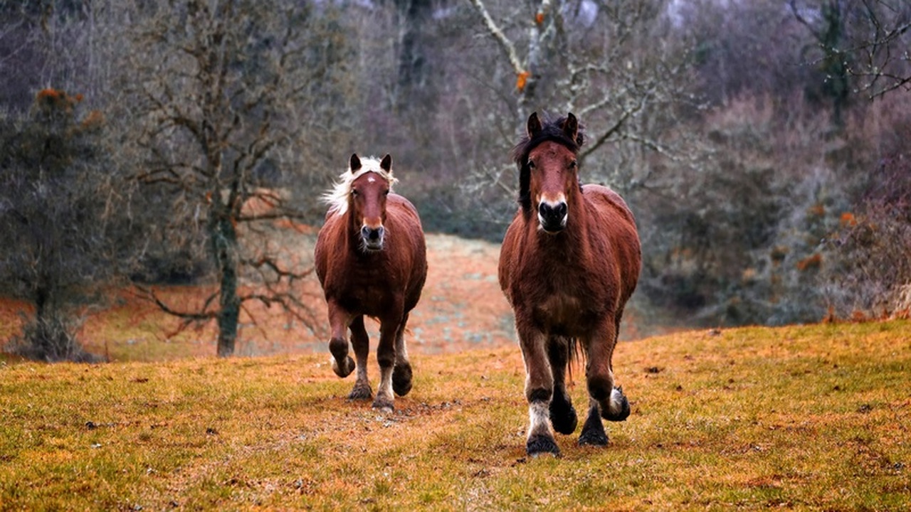 Начало 2026 года обещает стать периодом значите...