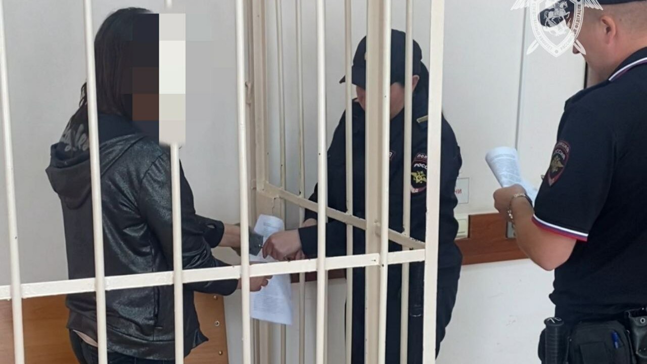 Жительница Чебоксар зарезала любовника во время застолья 46-летнюю жительницу Чебоксар обвиняют в убийст...