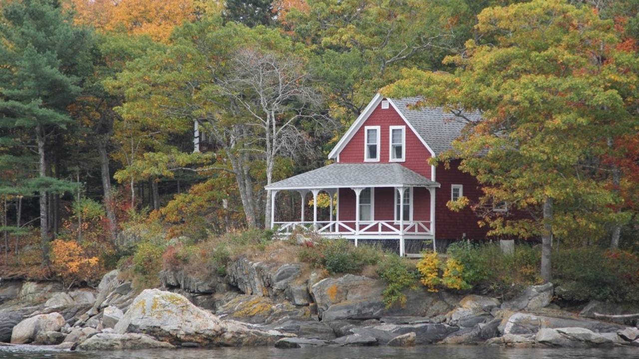 С февраля 2026 года в России могут начать изыма...