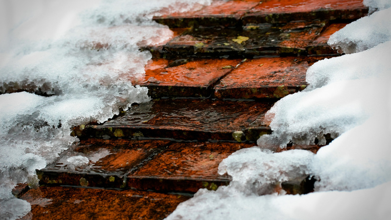 Февраль, несмотря на зимнюю погоду, является кр...
