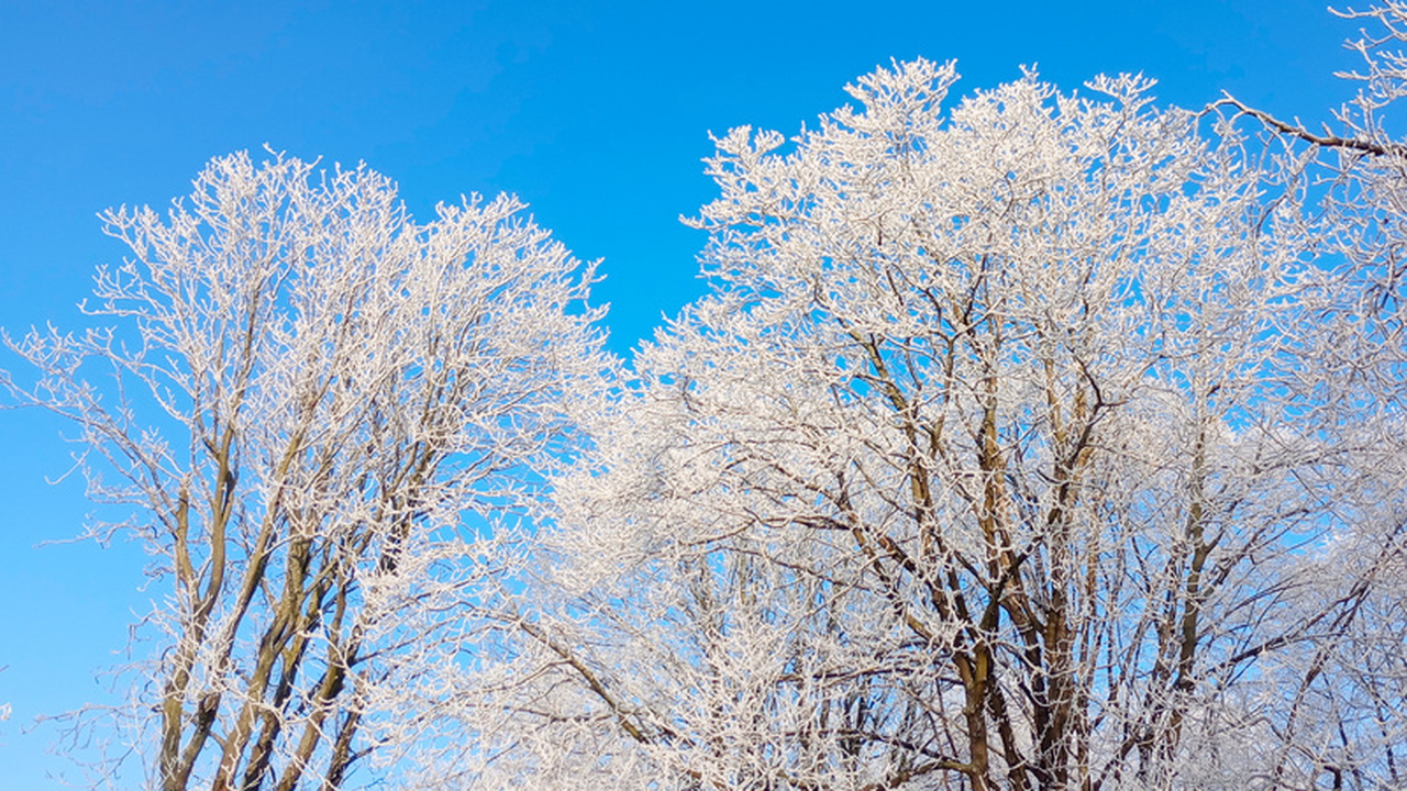 Многие считают, что зимой дачные хлопоты заканч...
