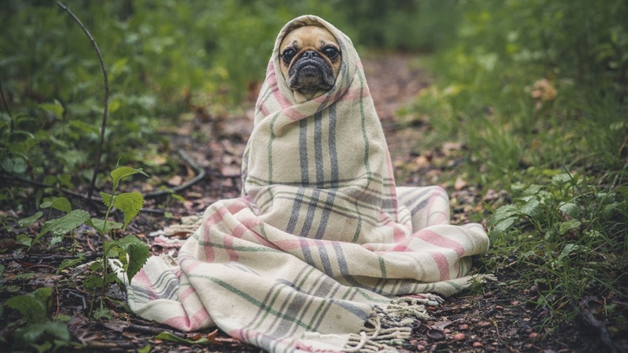 Астрология — это не только о звёздах и гороскоп...