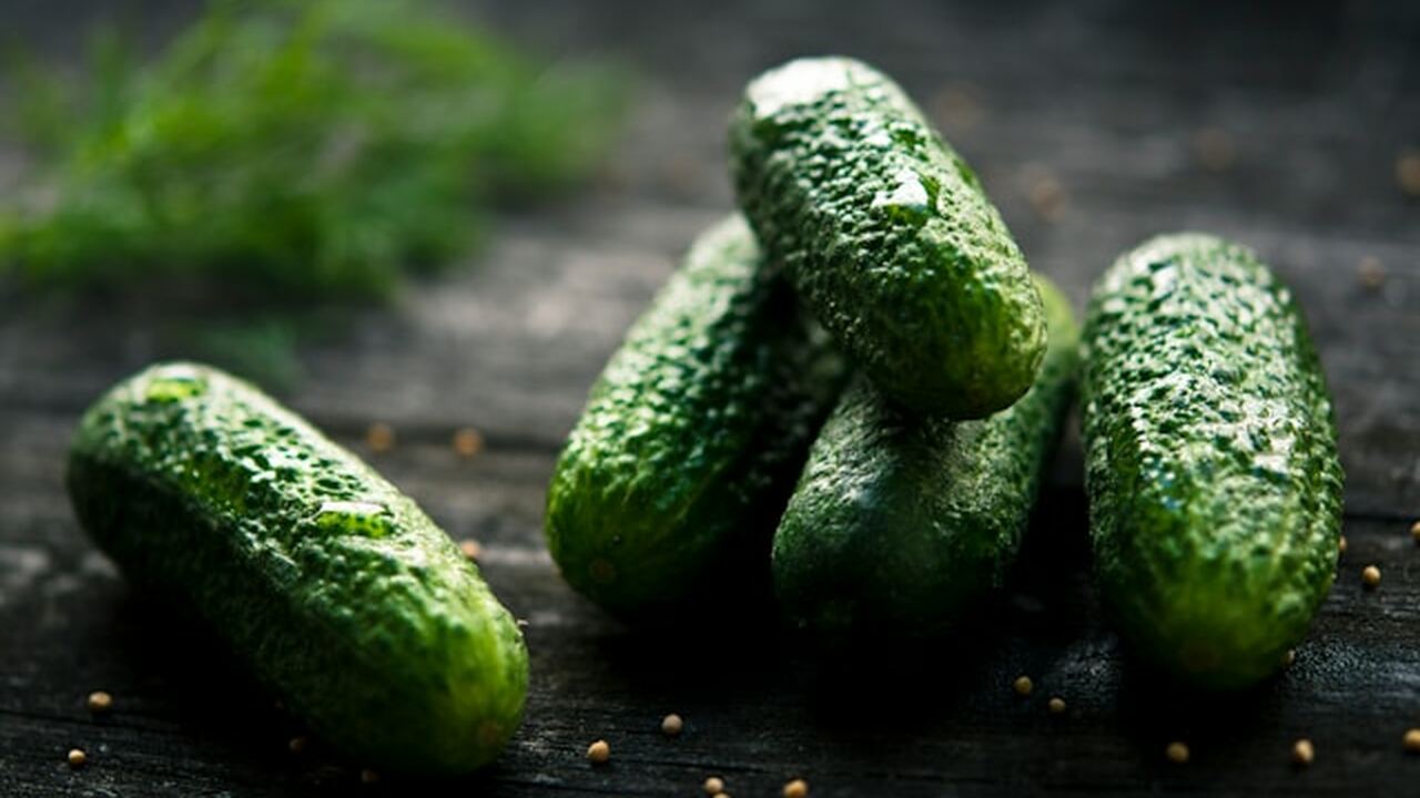 Метод траншейного выращивания огурцов позволяет...