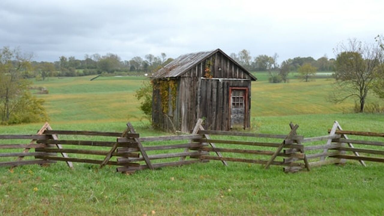 Современные дачники находят эффективные способы...
