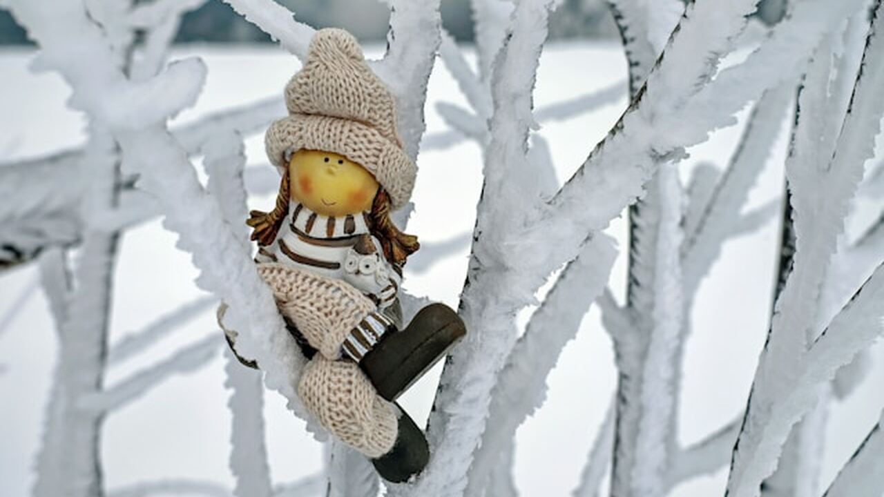 Небольшой город Зеленоградск в Калининградской ...