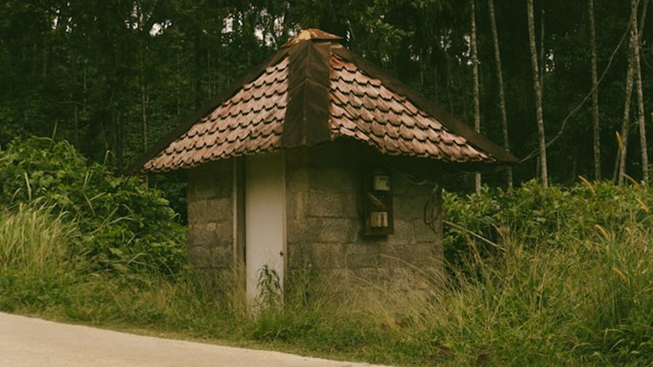 Владельцы дачных участков все чаще используют б...