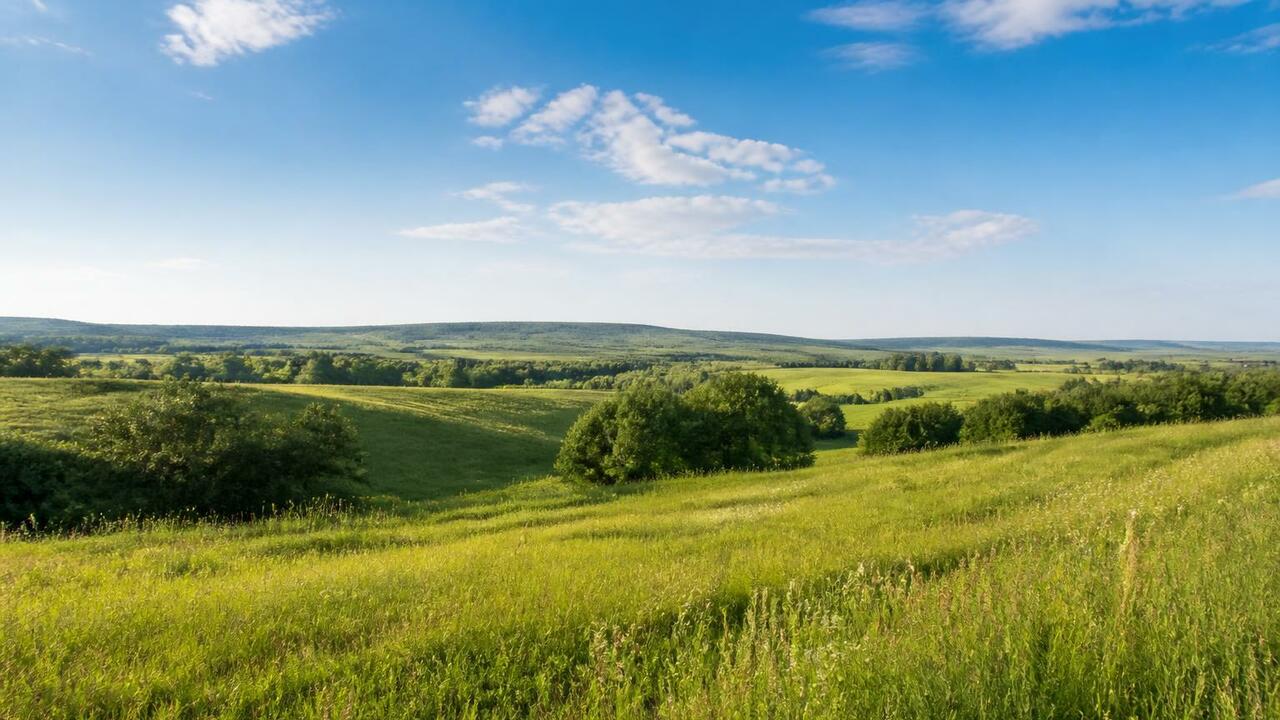 22 мая в Чувашии ожидается до +30 °C, переменна...