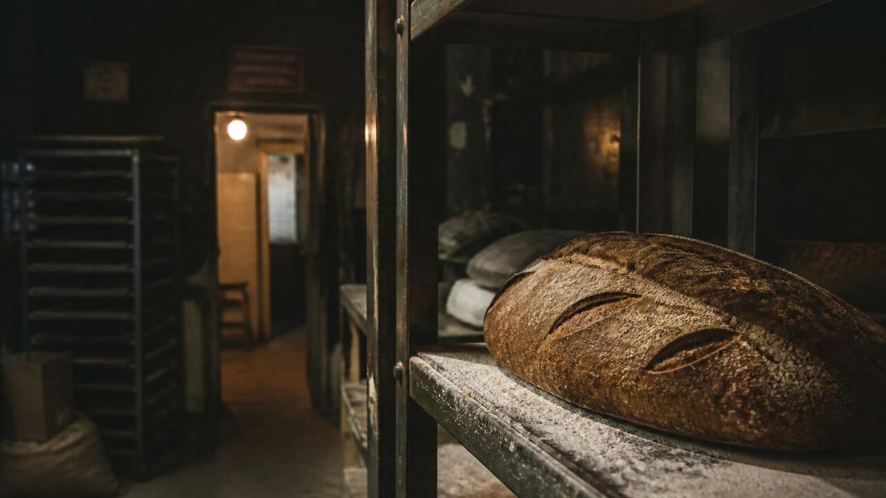 Хлеб пекли среди плесени и насекомых: штраф для производителя в Чувашии В Чебоксарском районе оштрафовали должностное л...
