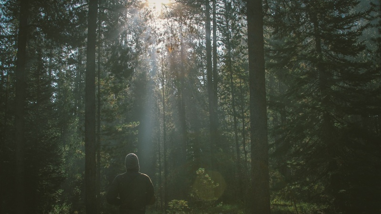 Топ-3 аномальных зон планеты, где бесследно исчезают люди Существуют места на Земле, окутанные тайнами и ...