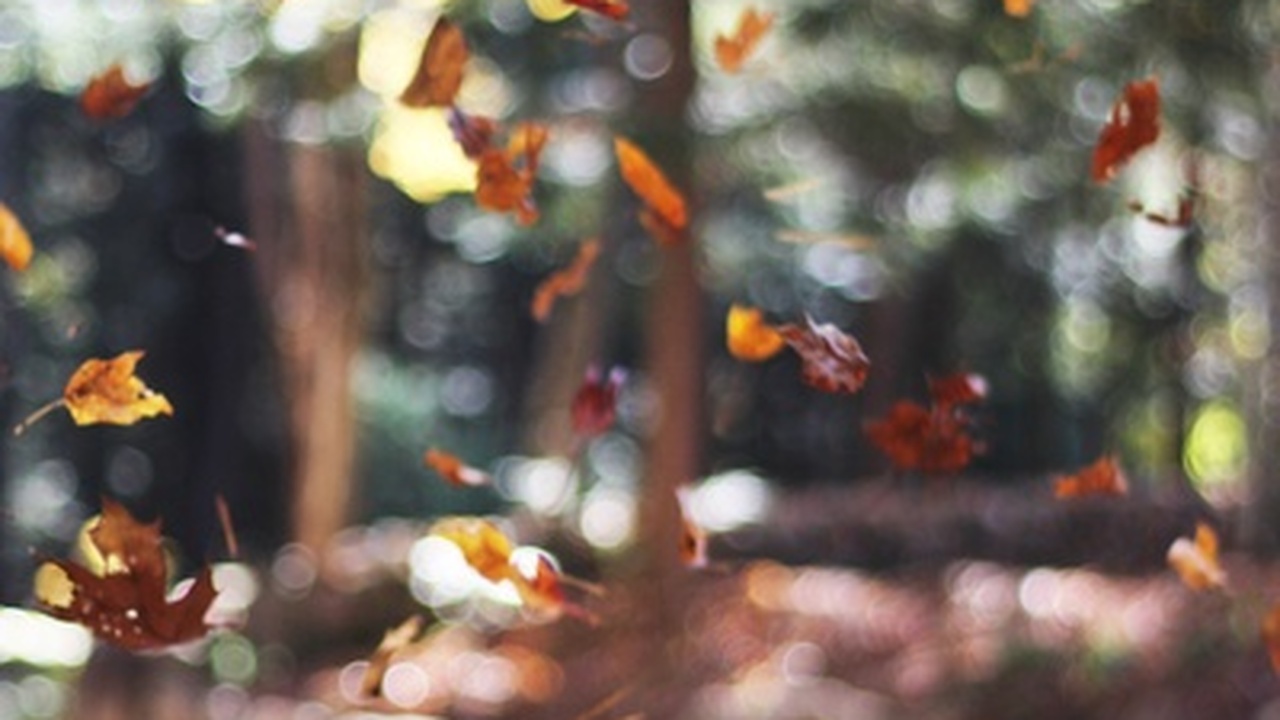 Центральная Россия продолжает удивлять аномальн...