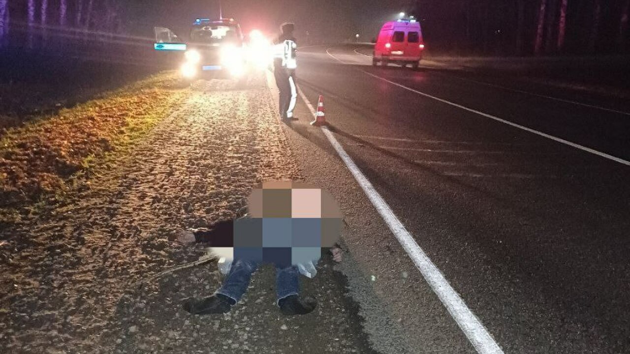 В Чувашии шедшего по дороге мужчину насмерть сбил автомобиль Накануне в 20:25 на 9 км автодороги А-151 в Цив...