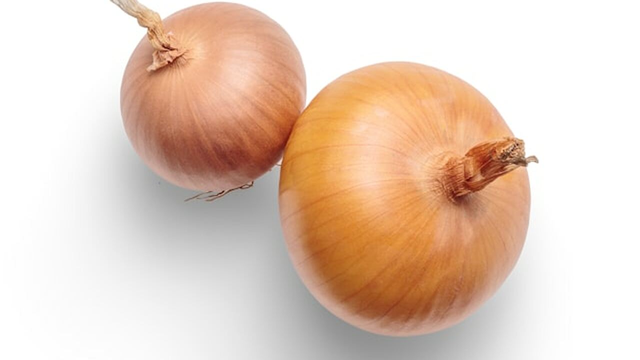 Предварительная обработка посадочного материала...