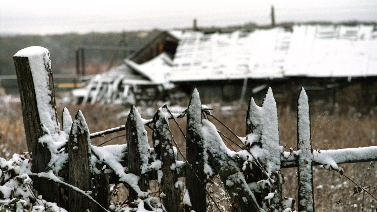 Снег на голову упадет необычайно рано: синоптик...