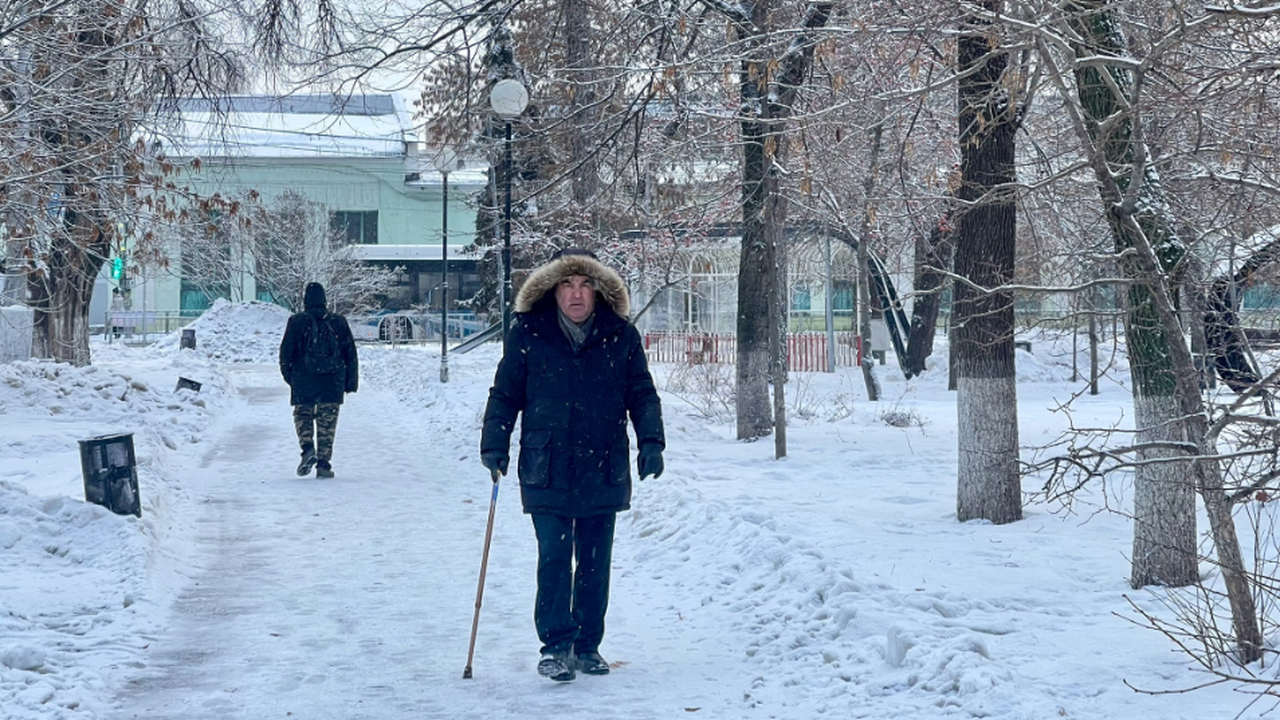 Не сильно радуйтесь «земляничной зиме»: синопти...