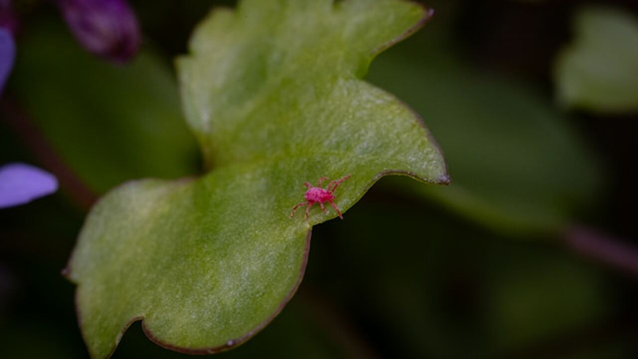 С наступлением тёплого сезона возрастает активн...