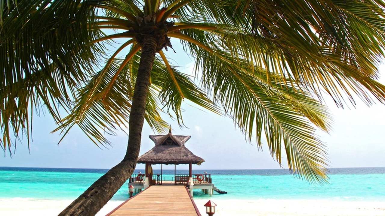 Российские туристы открыли для себя Мальдивы с ...