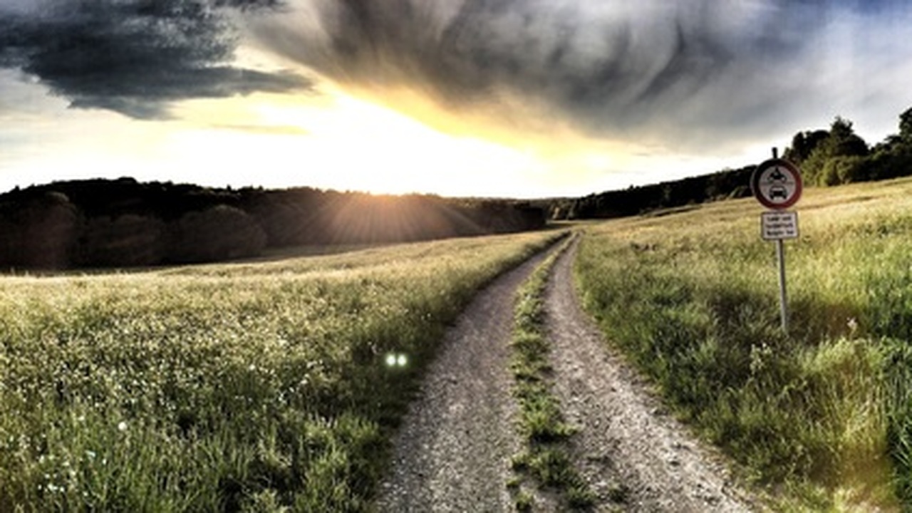 Пророчества Ванги о будущем Украины: кто принесет мир и избавит от бедствий? В сети появились новые интерпретации предсказан...