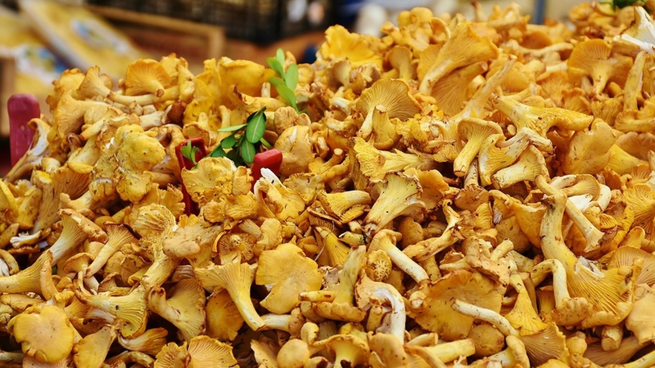 Грибной хит к празднику: секрет идеальных маринованных шампиньонов Новогодний стол – это не только оливье и мандар...