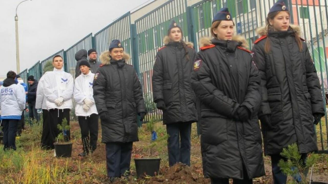 В Чебоксарах в микрорайоне Садовый высадили алл...