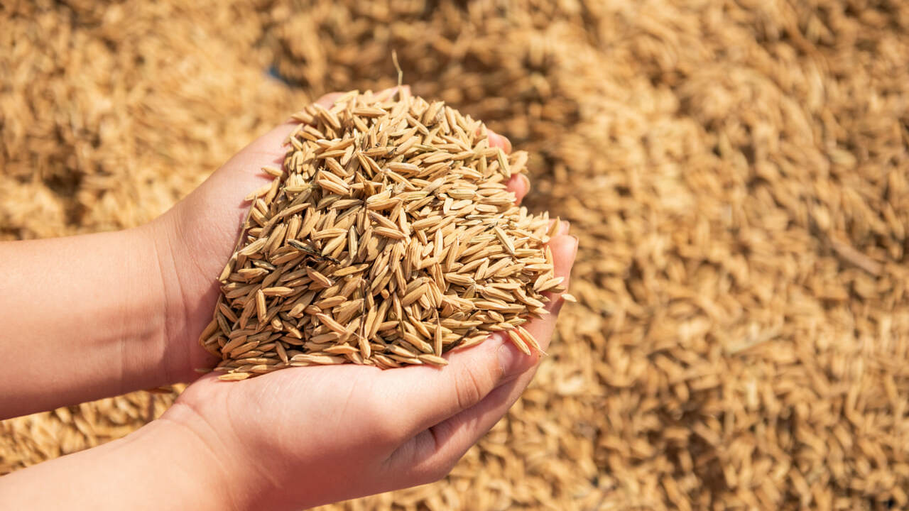 Билайн AI – команда, развивающая продукты на ос...