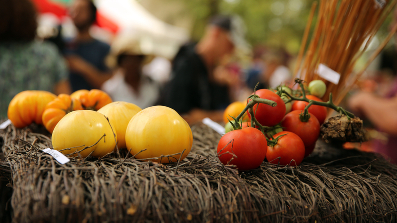 Уже с осени многие огородники начинают искать с...