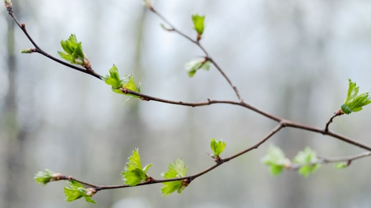 Майские выходные в 2026 году скорректировали В производственный календарь на май 2026 года в...