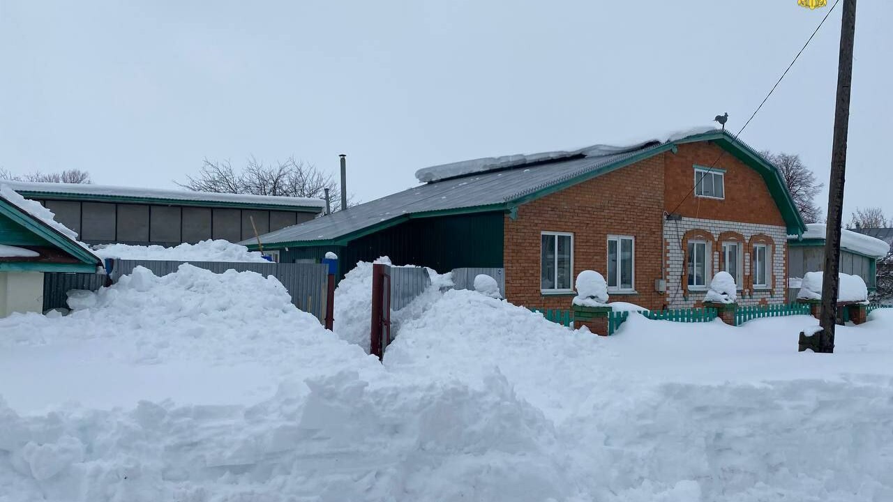 В выселке Атмень Аликовского округа две женщины...