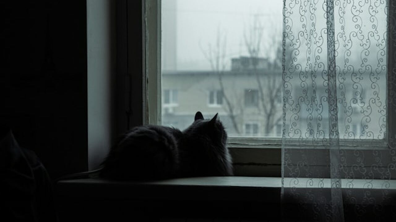 В интерьерной отделке постепенно снижается инте...