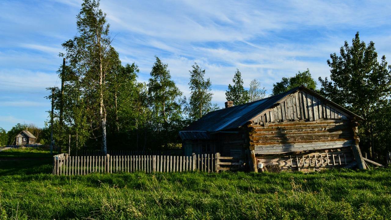 Незваный гость в глухой деревне: ужин с сюрпризом Командировка в отдаленную деревню Гнилой Ручей ...