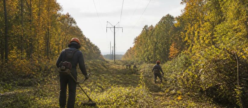 Энергетики Чувашии расчистили более 50 гектаров...