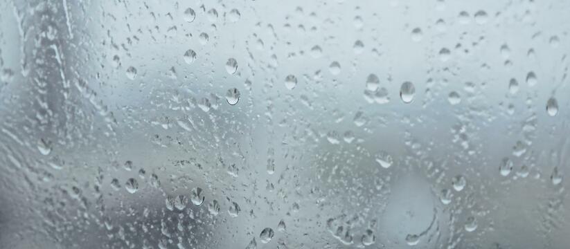 16 июня в Чувашии: до +26 °C и местами небольшо...