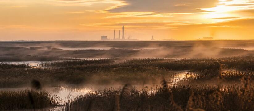 SpaceX вложит $100 млрд в болота Луизианы: новы...