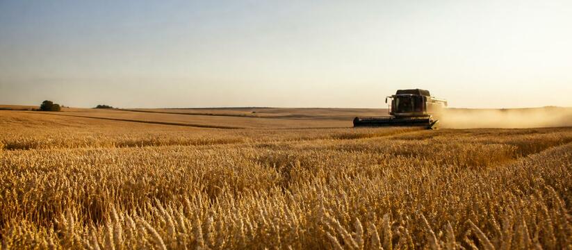 В Чувашии аннулировали 133 декларации на зерно ...