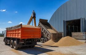 Экспорт растительной продукции из Чувашии вырос...
