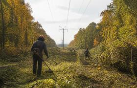Энергетики Чувашии расчистили более 50 гектаров...