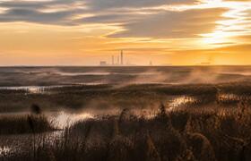 SpaceX вложит $100 млрд в болота Луизианы: новы...