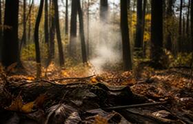 Чувашию на четыре дня накроет высокая пожарная ...