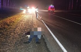 В Чувашии шедшего по дороге мужчину насмерть сб...